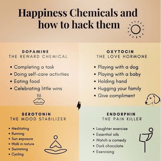 Happiness chemicals …